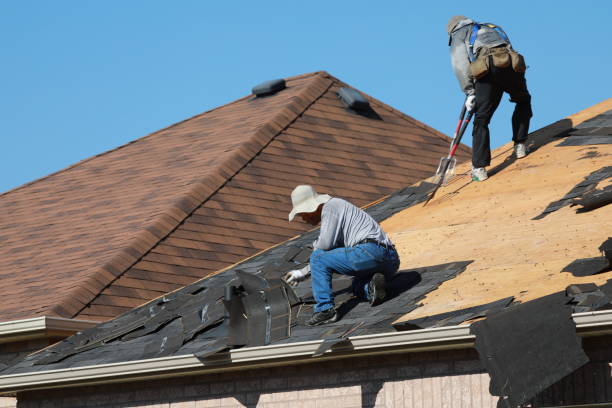 Fast & Reliable Emergency Roof Repairs in Newport, MN